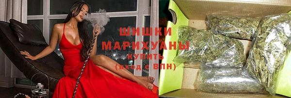 индика Зеленокумск