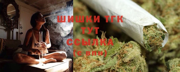 гашик Зерноград
