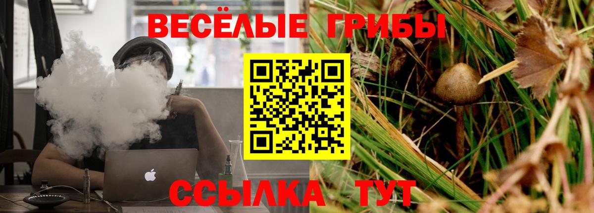 Канаш  Псилоцибиновые грибы MAGIC MUSHROOMS  что такое наркотик  Вход с VPN 