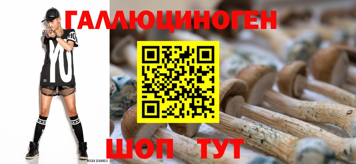 Галлюциногенные грибы Psilocybe Канаш