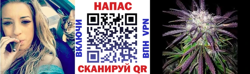 Марихуана SATIVA & INDICA  как найти   Канаш 